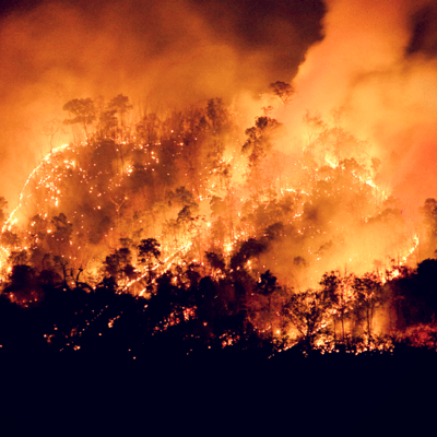 Wildfires in California Prompt HOS Suspension.png